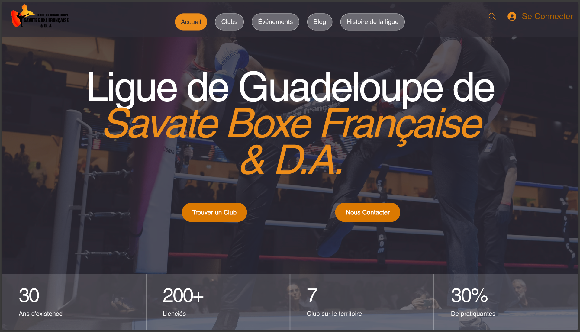 Ligue de Savate Boxe Française